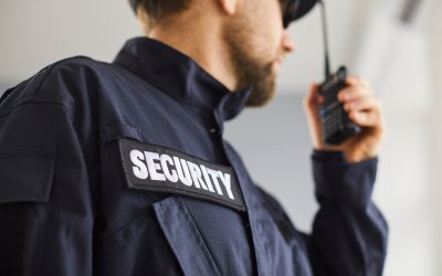 Security Measures to Protect Your Business Phone Systems